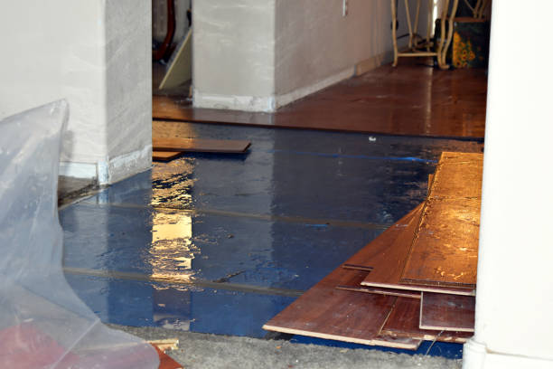 Professional Sewage Cleanup technician working in Petersburg, TX